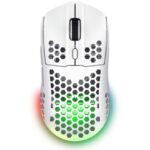 Ratón Gaming Inalámbrico Trust Gaming GXT 929 Helox/ Batería recargable/ Hasta 4800 DPI/ Blanco