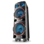 Altavoz Portable con Bluetooth NGS Wild Dub 1/ 300W