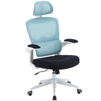 Silla Gaming Woxter Ergo/ Azul