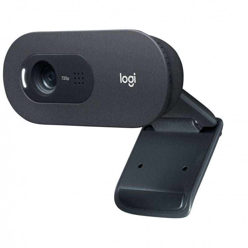 Webcam Logitech C505E/ 1280 x 720 HD