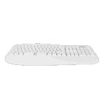 Phoenix k201 teclado ergonómico inalámbrico 2.4ghz blanco - Imagen 4